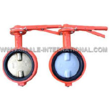 Lug Type Butterfly Valve